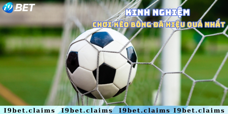 Một số kinh nghiệm đặt cược từ các cao thủ