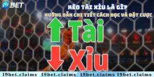 Kèo tài xỉu là gì? Hướng dẫn chi tiết cách đọc và đặt cược